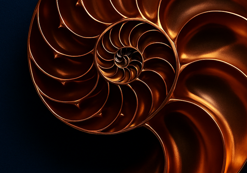Copper nautilus spiral — Art